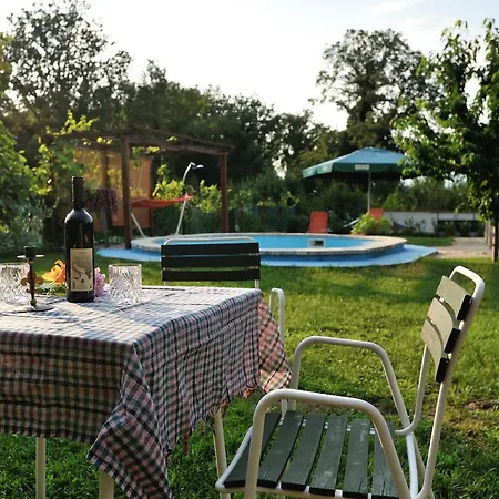Vacation Little Paradise *