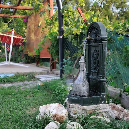Tatil Evi Vacation Little Paradise